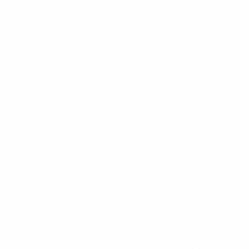 SmartBinz Animated Logo